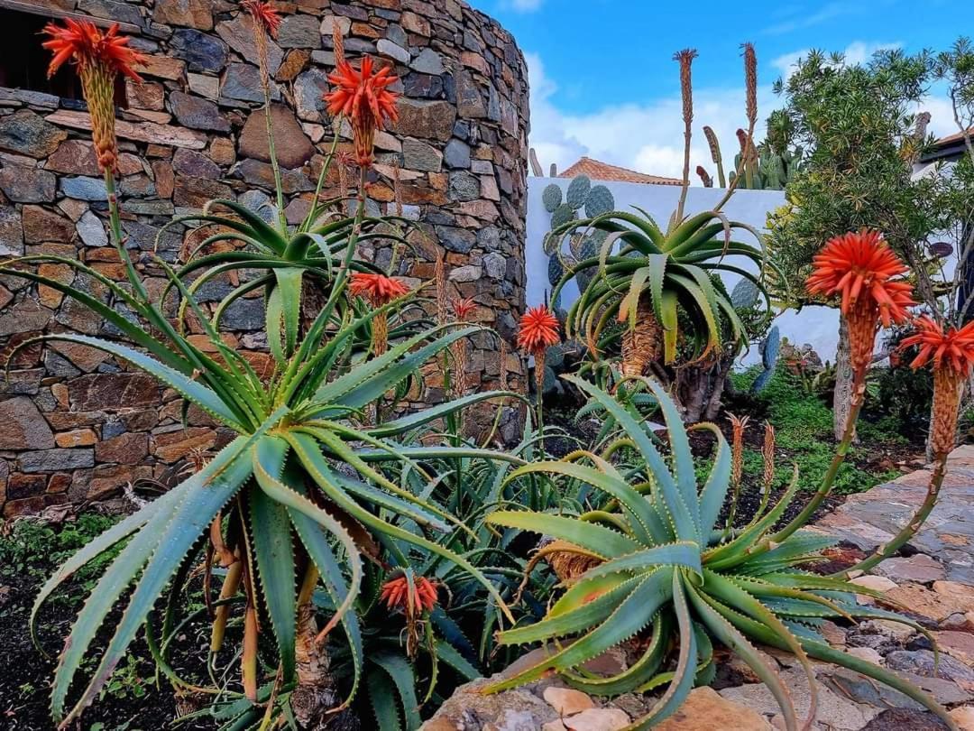 דירות קוסטה דה אנטיגואה Casita De Lea מראה חיצוני תמונה